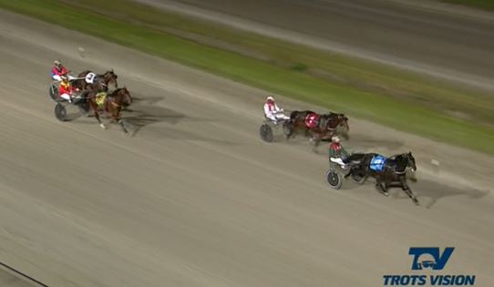 trots-review-record-falls-as-talent-delights-at-bendigo