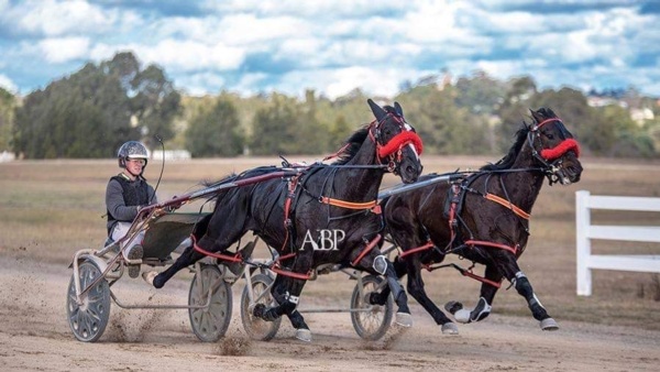 trots-centre-cook-ready-to-turn-up-the-heat-for-driving-debut