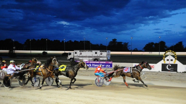 get-involved-terang-set-to-be-a-virtual-blast