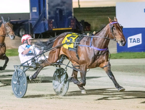 sax-back-amid-brilliant-field-to-take-on-arty-at-bendigo