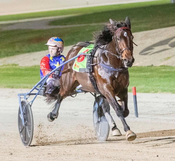 trots-centre-ready-to-cash-in-as-dam-good-trotter-returns