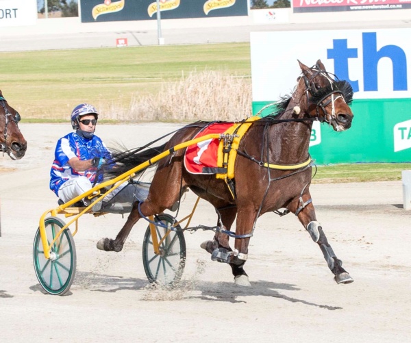 trots-review-peter-rapt-as-package-bounces-back-with-a-bang