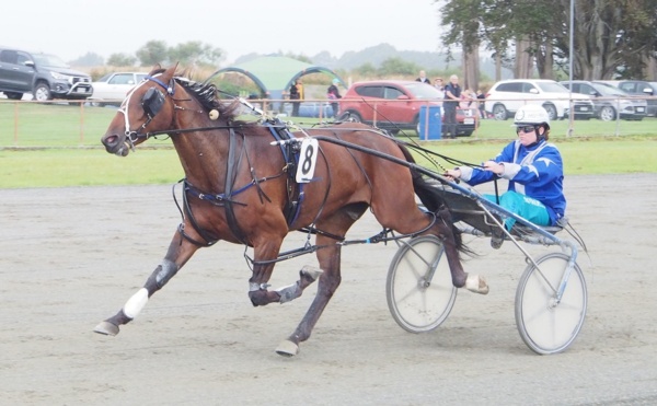 trots-centre-will-he-be-rewarded-for-decision-to-go-west