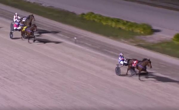 trots-review-ladies-night-as-stewart-dominates-home-grown-heats