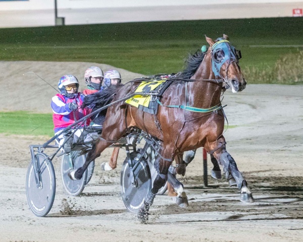 trots-centre-majors-time-to-make-a-statement