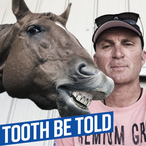 i-was-obsessed-with-horses-patsy-abrahams-talks-her-trots-life