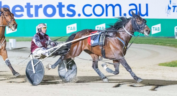 superstar-3yos-tackle-trotters-derby-heats-today
