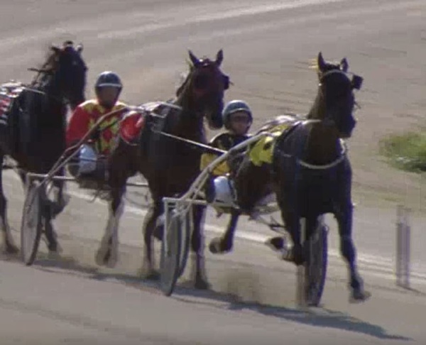 trots-centre-tony-doubles-down-with-group-winners-little-brother