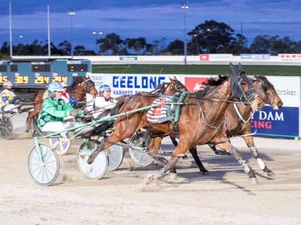 trots-centre-theultimate-talent-ready-to-burn-tonight