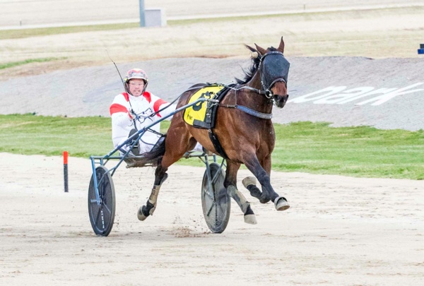 bill-collins-mares-hold-the-cards-in-group-1-sprint-draw