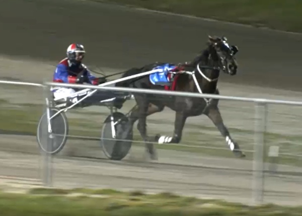 redwood-day-sues-tip-top-filly-ready-for-2yo-classic