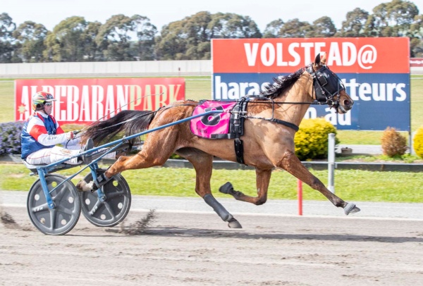 star-studded-aldebaran-park-starlet-line-up