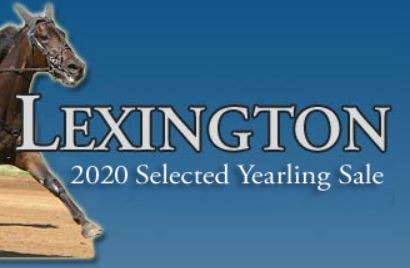lexington-sale-stream-it-live-all-week-at-hrvs-home-of-apts