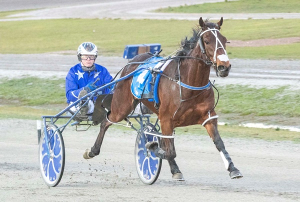 nz-update-princess-tiff-another-masterpiece-chase-vic-classics