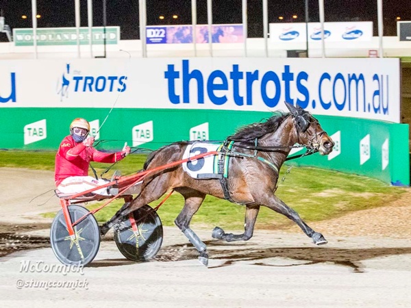 trotters-derby-galah-swoops-on-another-success-in-heat