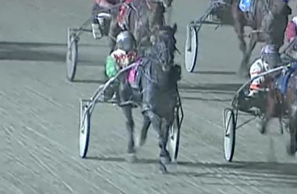 trots-centre-a-little-thing-prompts-hinchs-big-track-return