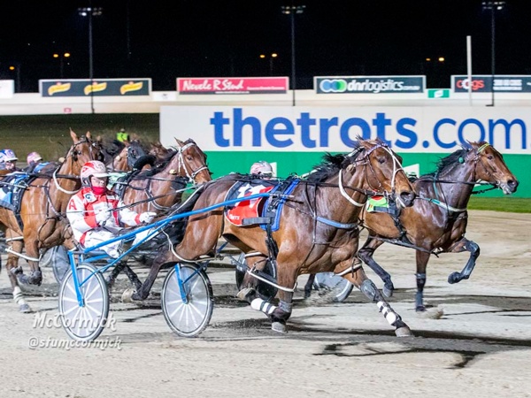state-of-play-new-frontline-shapes-for-second-mares-tiff