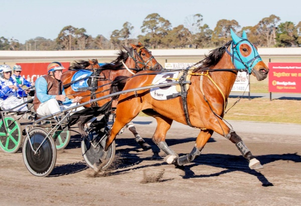 trots-centre-big-watch-on-leanne-as-bob-having-gem-of-a-time