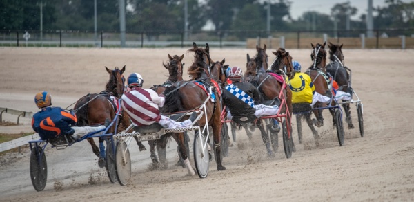 owner-colours-to-return-to-victorian-harness-racing