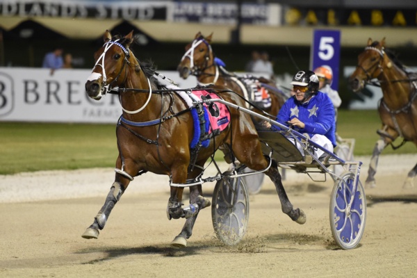 nz-trotting-cup-purdon-not-as-self-assured-this-cup