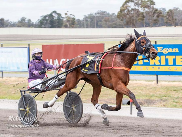 breeders-crown-tess-smashes-track-record-with-audacious-heat-win