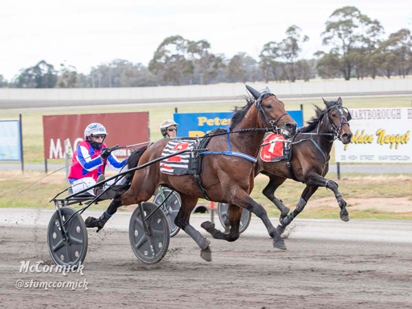 breeders-crown-unbeaten-colt-advances-to-3yo-crown-final