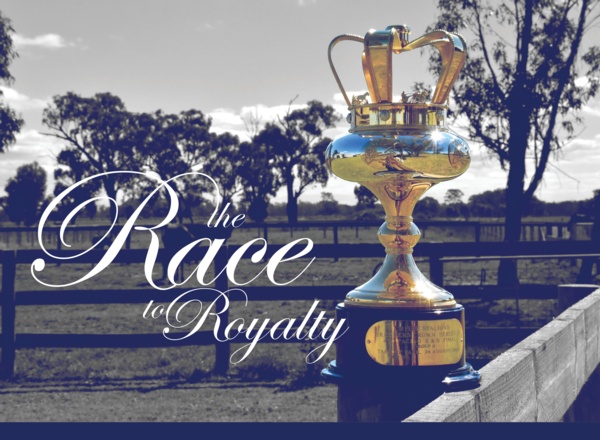 breeders-crown-bon-adam-gareth-and-dans-200-game-plans