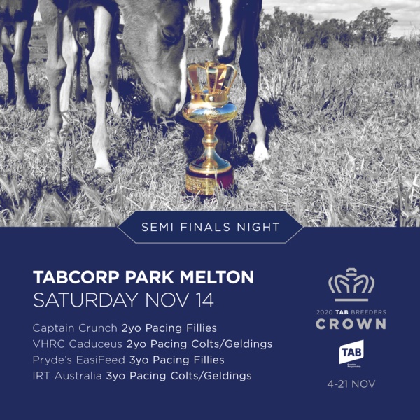breeders-crown-finals-draws-part-of-trots-visions-royal-coverage