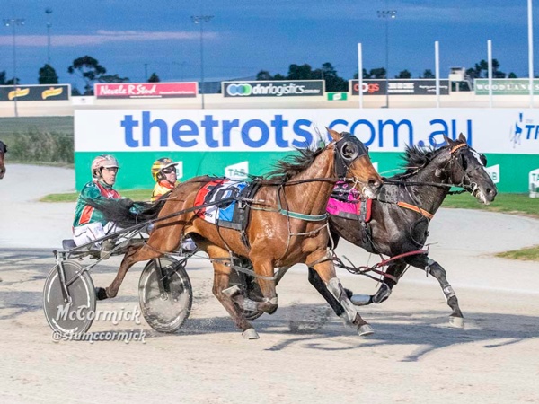 breeders-crown-dan-and-zeuss-emerge-from-bruising-3yo-semis