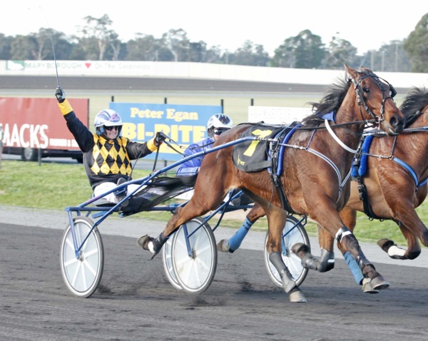 trots-centre-jodi-hopes-dust-settles-on-crown-glory