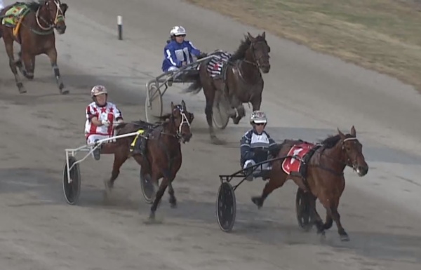 trots-review-winning-drivers-very-proud-as-langs-honoured