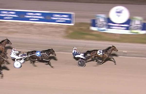 vicbred-ss-reigning-champ-shines-as-fillies-take-flight