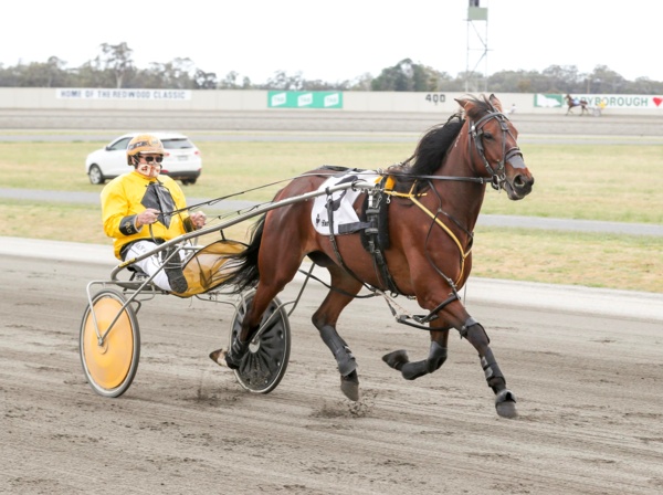 trots-centre-graeme-hopes-net-breakthrough-winner-tonight