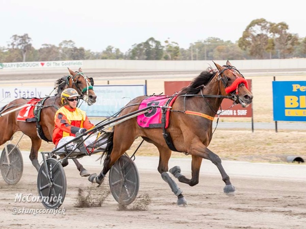 vicbred-ss-reward-for-care-as-green-trotters-delight