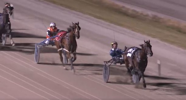 trots-review-secrets-out-as-lee-clinches-stewarts-third-sokyola