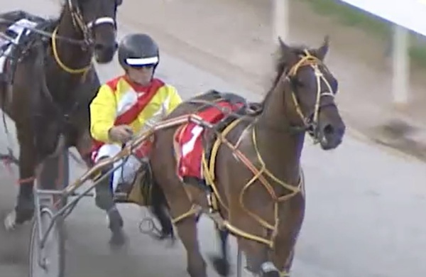 trots-centre-tracks-little-sis-gets-her-shot-in-the-spotlight