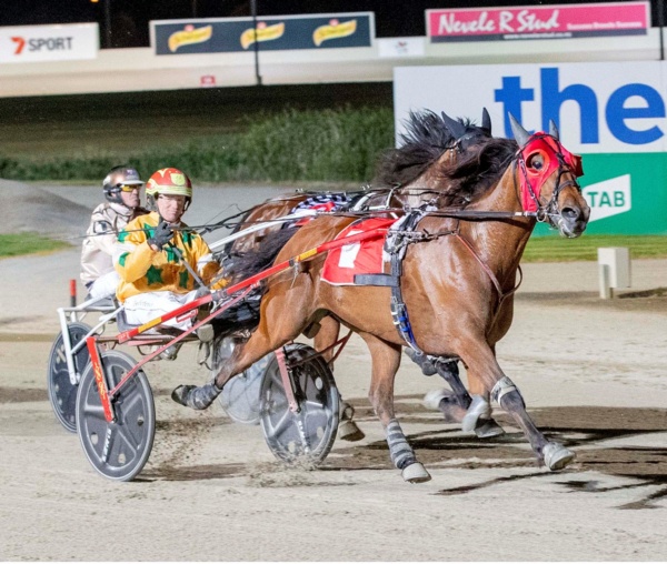 trots-centre-little-trotter-bringing-big-joy-this-holliday-season