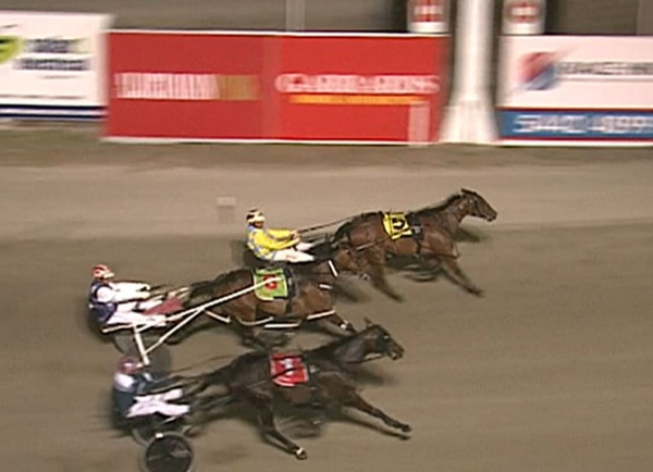 vicbred-ss-leading-mares-take-night-one-in-stride