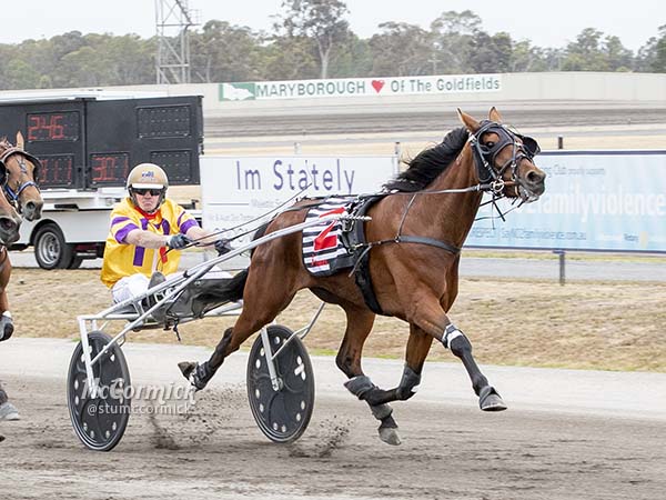 vicbred-ss-sales-starlets-steal-the-show