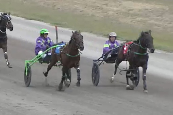 trots-centre-damien-hopes-to-repeat-early-burn-with-2yo