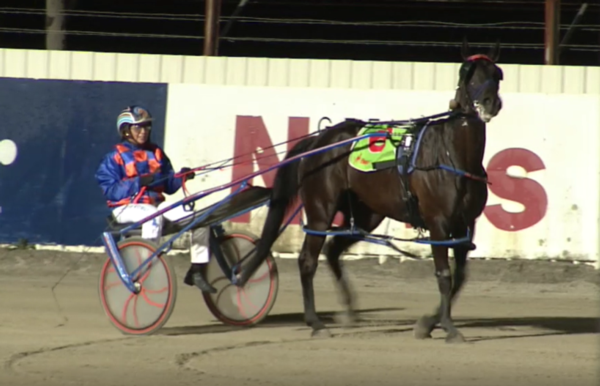 trots-centre-wedderburn-win-would-be-bliss-for-ash