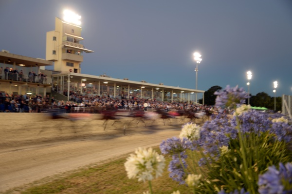 super-bonus-lucrative-new-race-series-launched