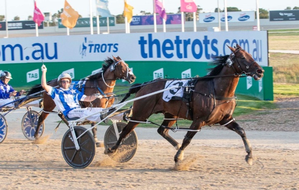 ballarat-cup-lochinvar-art-draws-6-for-tab-summer-of-glory-opener