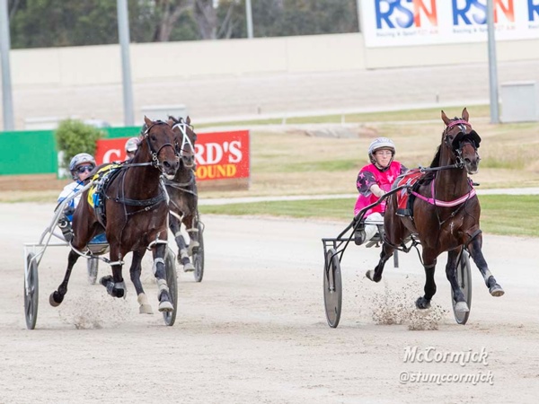 ballarat-cup-local-six-to-attempt-to-top-the-work-of-art