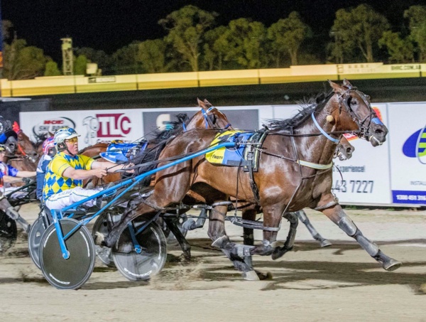 country-cups-ants-takes-massive-strides-with-dynamic-double