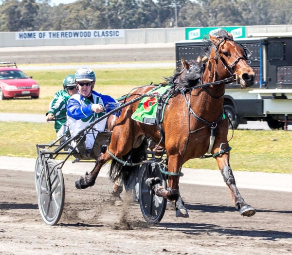 trots-centre-murphy-hopes-for-triple-treat-at-tabcorp-park