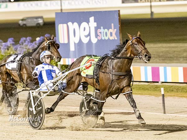ballarat-cup-a-masterpiece-as-lochinvar-art-blisters-home