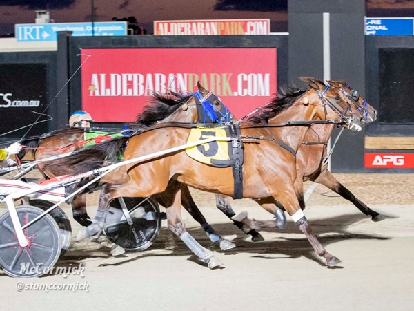 knight-pistol-tough-love-as-monarch-reigns-again