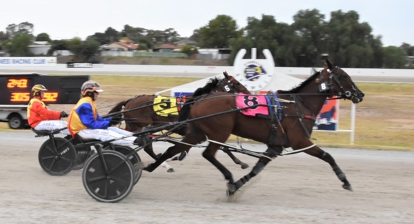 trots-centre-tindale-trio-target-melton-meeting