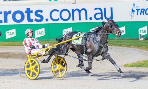 trots-centre-snooze-set-for-big-terang-cup-night